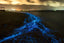 bioluminescent beach in night